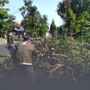 Gotong Royong Bersama Warga, Mahasiswa KKN Brantas Tuntas Kedugsoko Lakukan Pemotongan Dahan Pohon